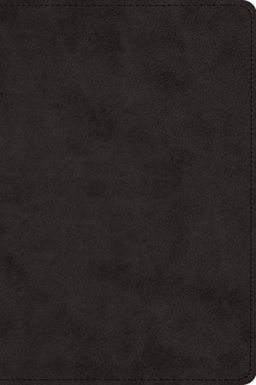 Picture of ESV Large Print Bible (Trutone, Black)