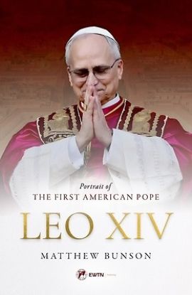 Picture of Leo XIV