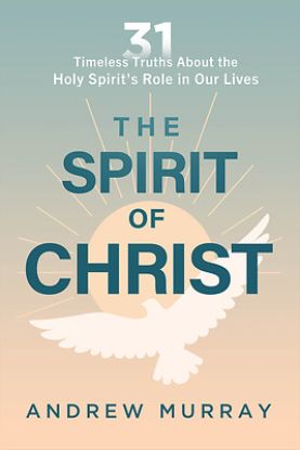 Picture of The Spirit of Christ