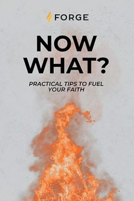 Picture of Now What?