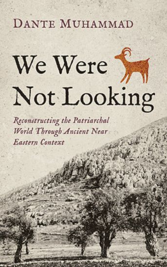 Picture of We Were Not Looking