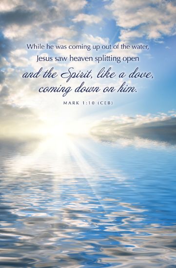 Picture of Word Alive! Weekly Bulletin without Message-Week 2, Legal Size (Package of 25)