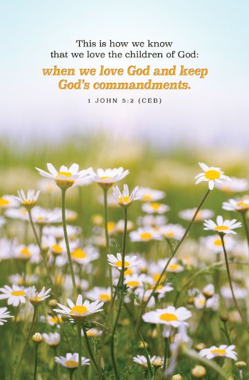 Picture of Word Alive! Weekly Bulletin without Message-Week 18, Letter Size (Package of 25)