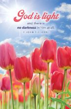Word Alive! Weekly Bulletin without Message-Week 14, Letter Size (Package of 25)