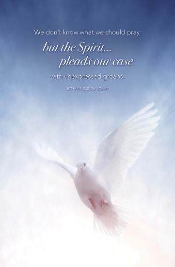 Picture of Word Alive! Weekly Bulletin with Message-Week 20, Letter Size (Package of 25)