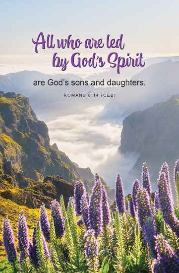 Picture of Word Alive! Weekly Bulletin without Message-Week 21, Letter Size (Package of 25)