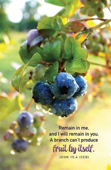 Picture of Word Alive! Weekly Bulletin without Message-Week 17, Letter Size (Package of 25)