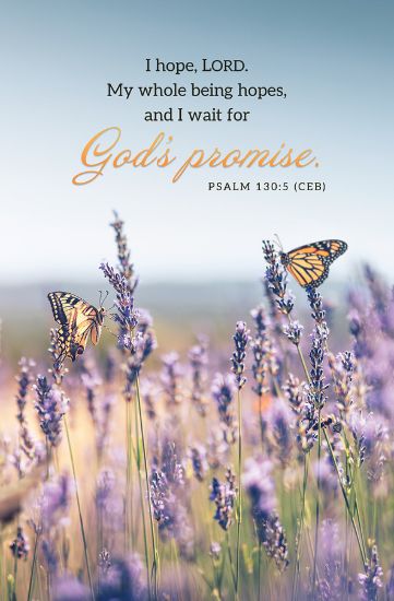Picture of Word Alive! Weekly Bulletin with Message-Week 26, Letter Size (Package of 25)
