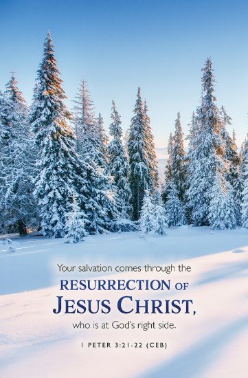 Picture of Word Alive! Weekly Bulletin with Message-Week 7, Letter Size (Package of 25)