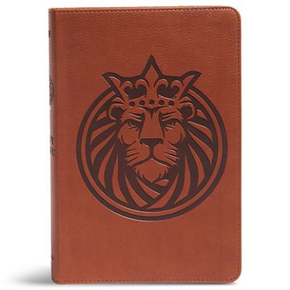 Picture of KJV Kids Bible, Lion Leathertouch