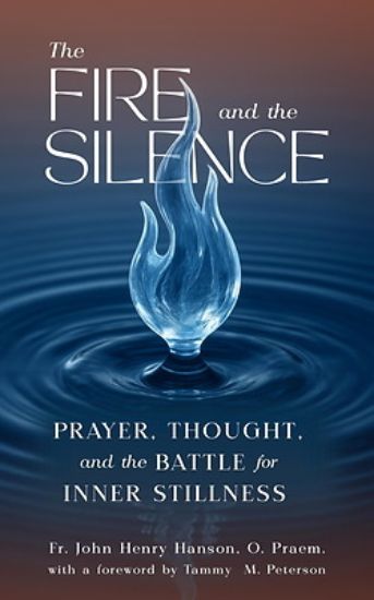 Picture of The Fire and the Silence