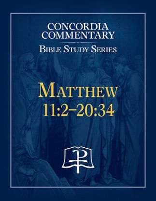 Picture of Matthew 11
