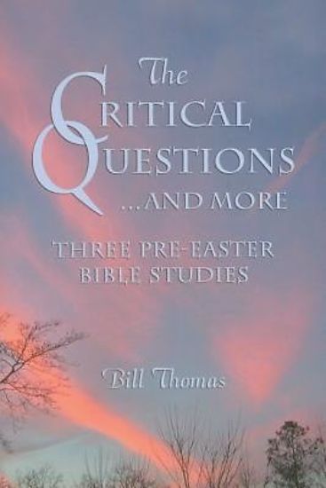Picture of The Critical Questions... and More