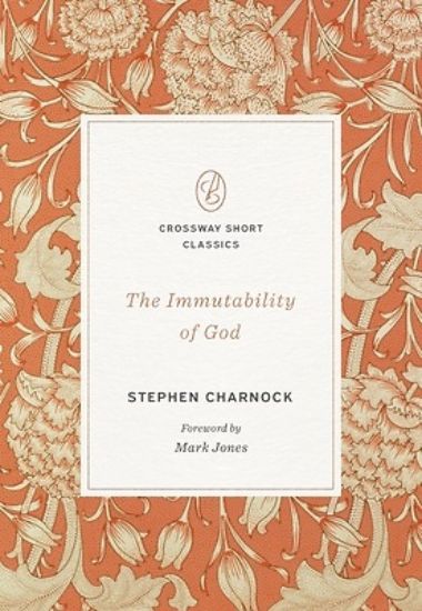 Picture of The Immutability of God