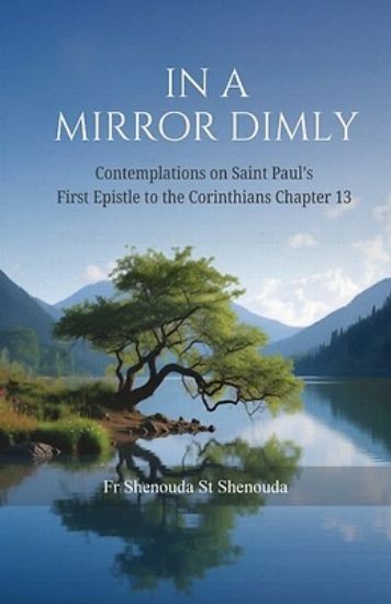 Picture of In a Mirror Dimly