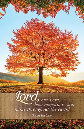Picture of Our Lord How Majestic Fall Regular Size Bulletin