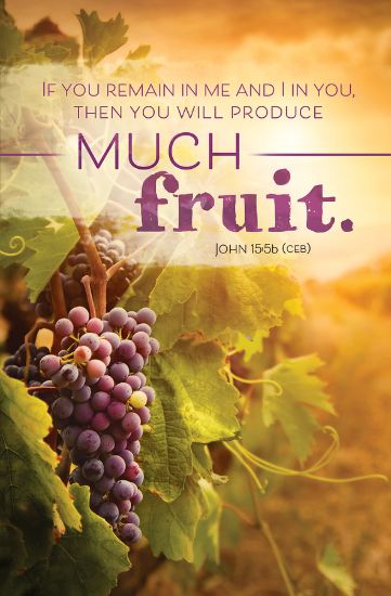 Picture of Much Fruit Bulletin Regular