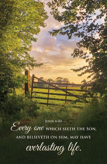 Picture of Every one Seeth the Son and Believeth Funeral Bulletin