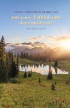 Word Alive! Weekly Bulletin without Message-Week 11, Letter Size (Package of 25)
