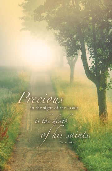 Picture of Precious in the sight of the Lord Funeral Regular Size Bulletin