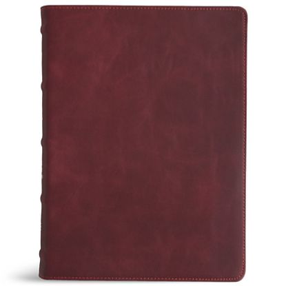 Picture of KJV Single-Column Wide-Margin Bible, Holman Handcrafted Collection, Marbled Burgundy Premium Calfskin