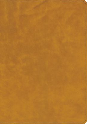 Picture of CSB Lumen Dei Bible, Lux Gloriae