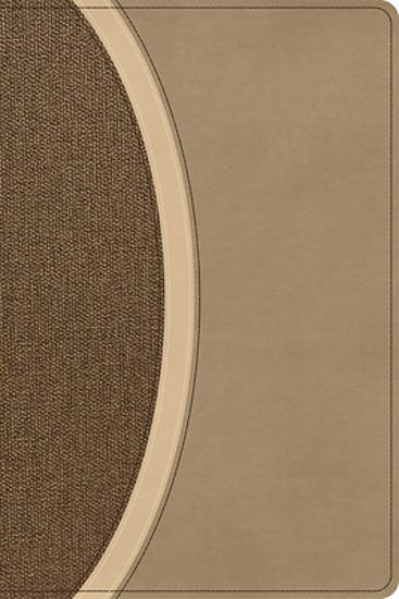 Picture of CSB Rainbow Study Bible, Brown Leathertouch