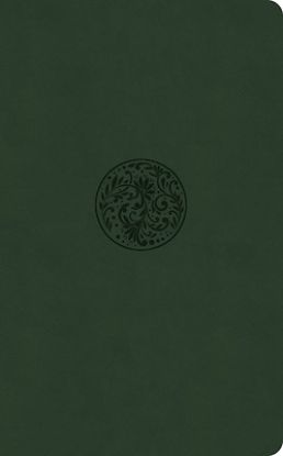 Picture of KJV Premium Gift Bible, Olive Leathertouch