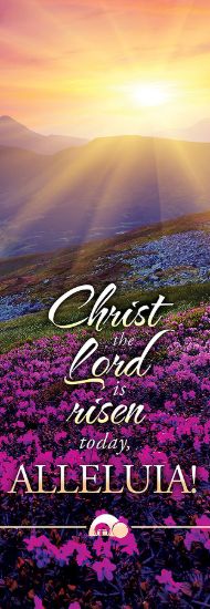 Picture of Christ the Lord is Risen Today Banner 2 x 6 Vinyl