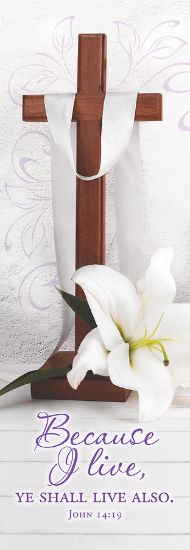 Picture of Because I Live Banner 2 x 6 Vinyl