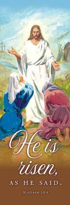 Picture of He Is Risen Banner 2 x 6 Vinyl