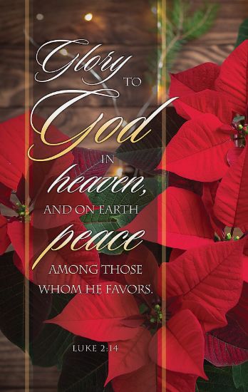 Picture of Glory to God Christmas Banner 3 x 5 Fabric