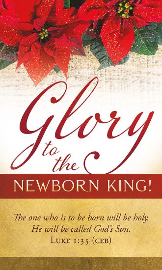 Picture of Banner Glory to the Newborn King Christmas 3 x 5 Vinyl