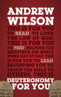Picture of Deuteronomy for You