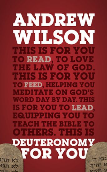 Picture of Deuteronomy for You