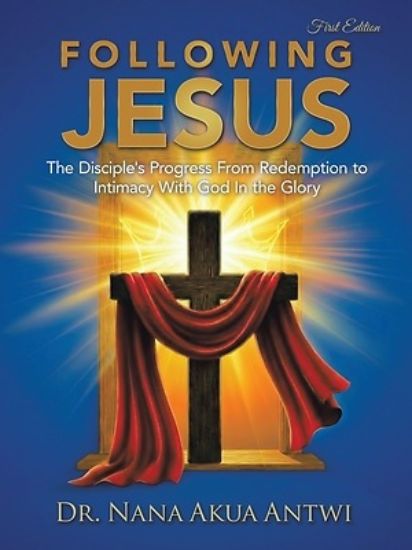 Picture of Following Jesus