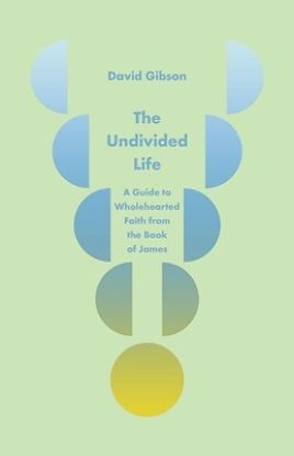 Picture of The Undivided Life