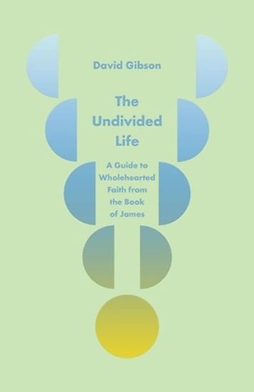 Picture of The Undivided Life