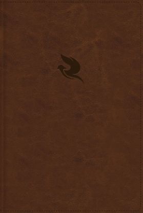 Picture of Rvr60, Biblia Plenitud, Revisada Y Ampliada, Leathersoft, Café, Interior a Cuatro Colores, Comfort Print, Con Índice