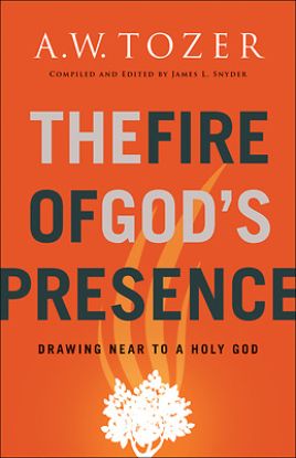 Picture of The Fire of God's Presence