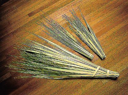 Picture of 13 Inch Palm Strips - Pack of 100