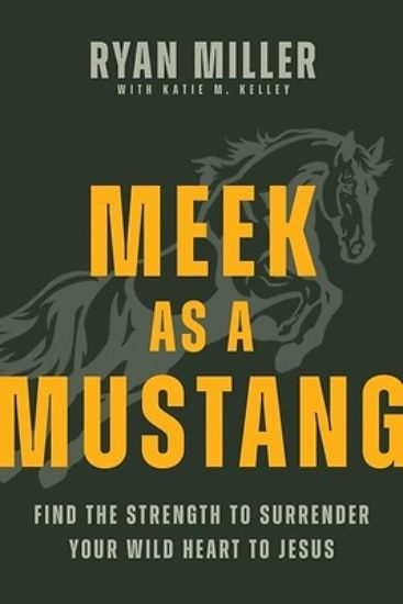 Picture of Meek as a Mustang