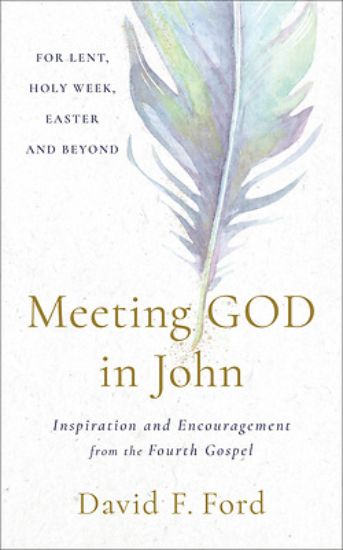 Picture of Meeting God in John