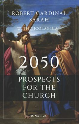 Picture of 2050