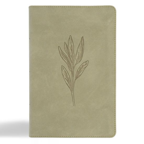 Picture of CSB Large Print Personal Size Reference Bible, Digital Study Edition, Sage Suedesoft Leathertouch