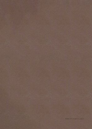 Picture of The Barbour Simplified KJV Bible--Deluxe Edition [Brown & Rose Floral Inset]