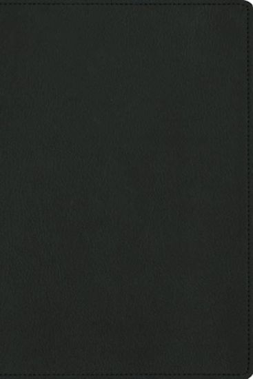 Picture of Nbla, Biblia Para La Lectura Pública, Versificada, Letra Grande, Piel de Cabra, Verde