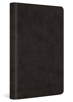 Picture of ESV Large Print Value Thinline Bible (Trutone, Black)