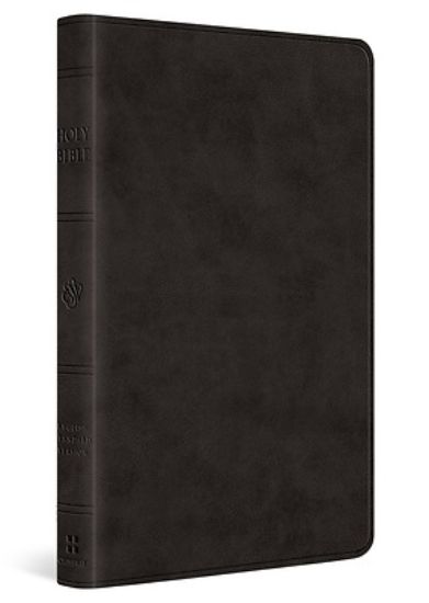 Picture of ESV Large Print Value Thinline Bible (Trutone, Black)