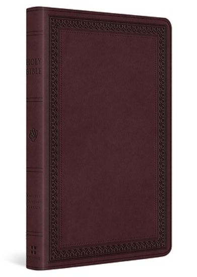 Picture of ESV Large Print Value Thinline Bible (Trutone, Mahogany, Border Design)